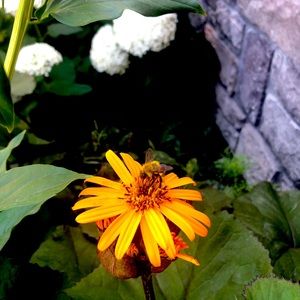 Meet your Posher, Fiona